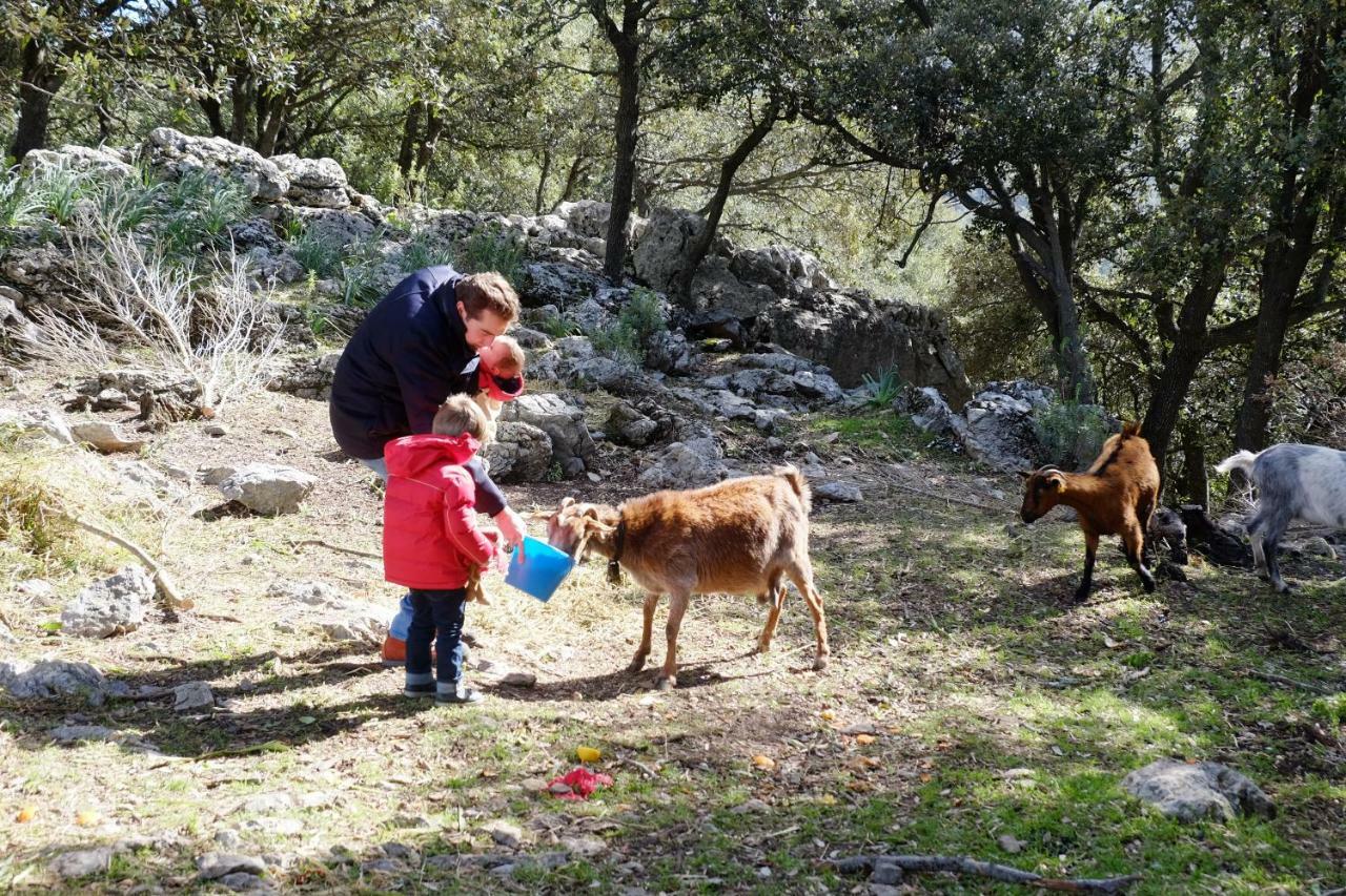 Agroturismo Son Alzines Villa Lluc Eksteriør billede