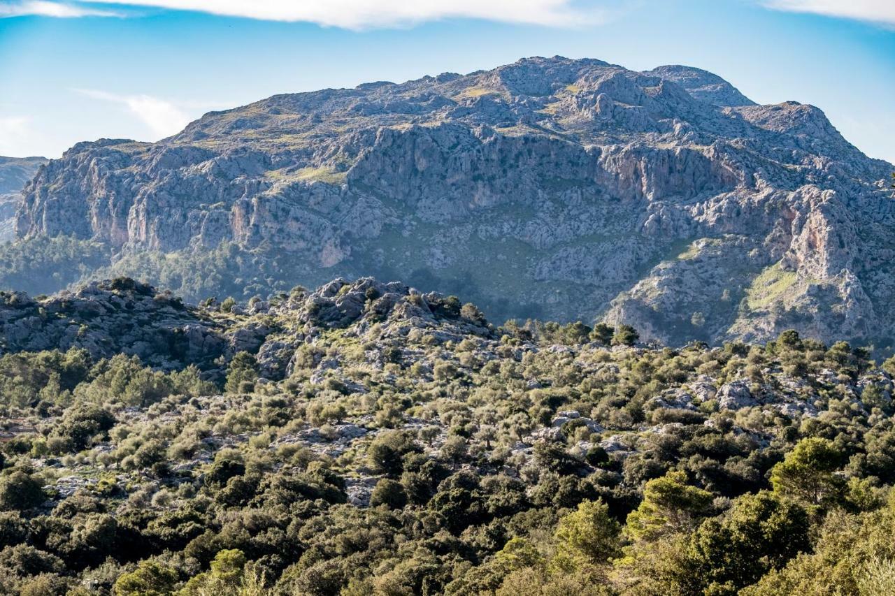 Agroturismo Son Alzines Villa Lluc Eksteriør billede