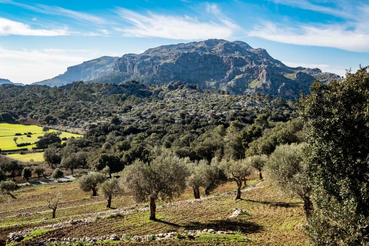 Agroturismo Son Alzines Villa Lluc Eksteriør billede